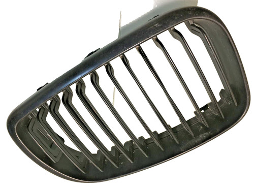 Ziergitter grill niere schwarz - grill,